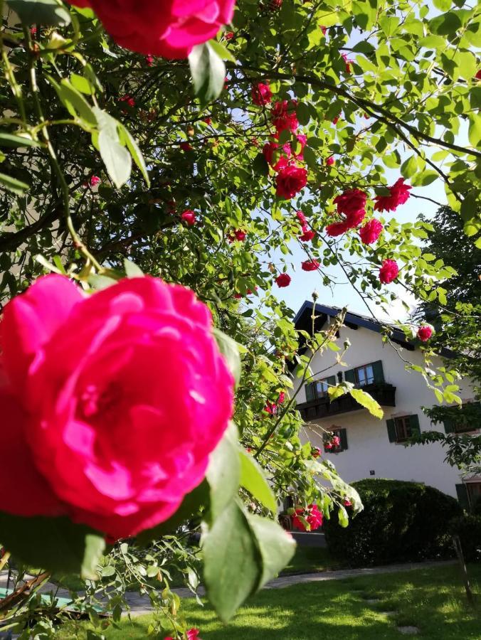 Affittacamere Fruehstueckspension Helmhof